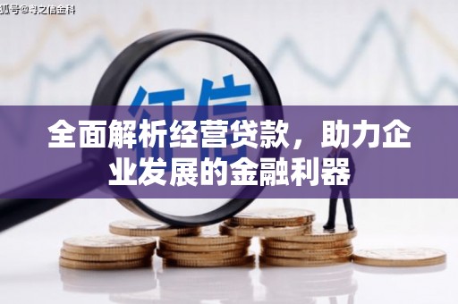 高陵全面解析经营贷款，助力企业发展的金融利器