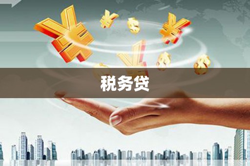 高陵税务贷