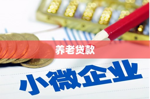 高陵养老贷款