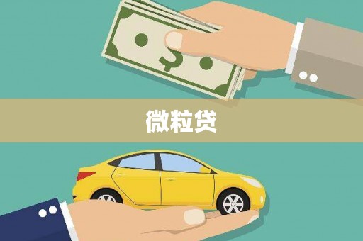高陵微粒贷