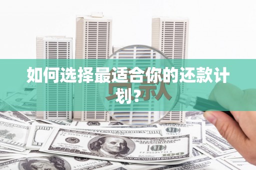 高陵如何选择最适合你的还款计划？
