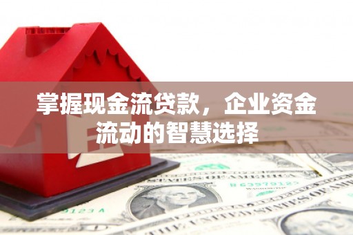 高陵掌握现金流贷款，企业资金流动的智慧选择