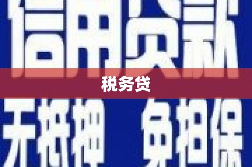 高陵税务贷