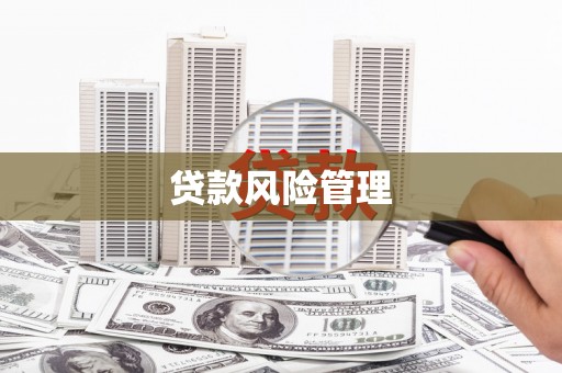高陵贷款风险管理