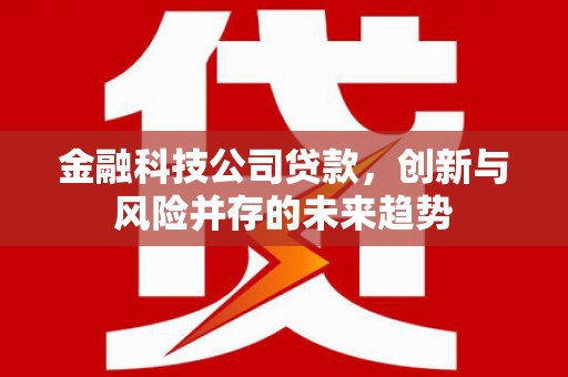 高陵金融科技公司贷款，创新与风险并存的未来趋势