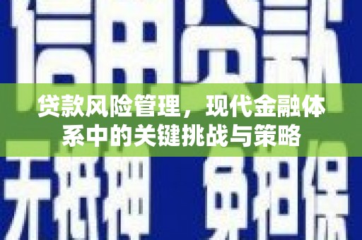 高陵贷款风险管理，现代金融体系中的关键挑战与策略