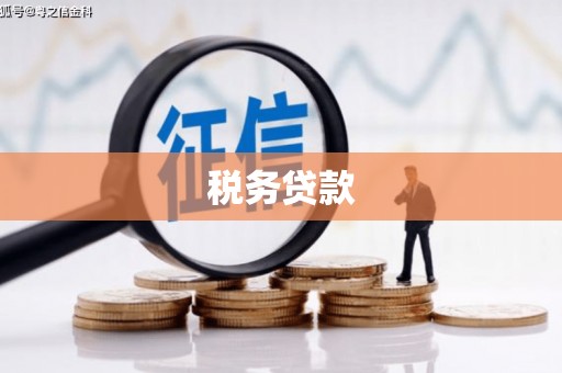 高陵税务贷款