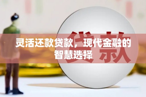 高陵灵活还款贷款，现代金融的智慧选择