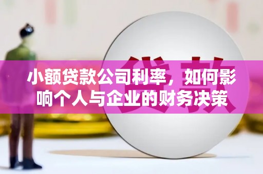 高陵小额贷款公司利率，如何影响个人与企业的财务决策