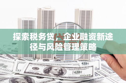 高陵探索税务贷，企业融资新途径与风险管理策略