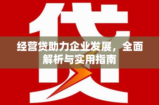 高陵经营贷助力企业发展，全面解析与实用指南
