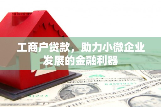 高陵工商户贷款，助力小微企业发展的金融利器