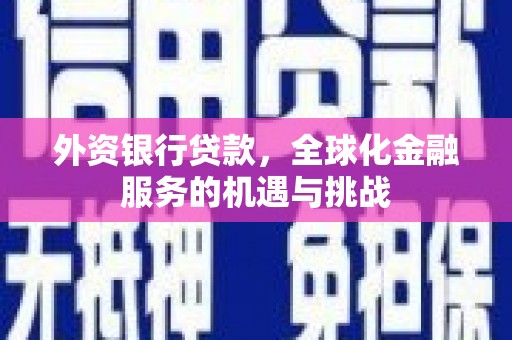 高陵外资银行贷款，全球化金融服务的机遇与挑战