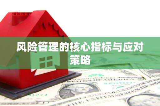 高陵风险管理的核心指标与应对策略