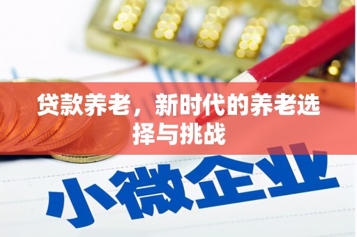 高陵贷款养老，新时代的养老选择与挑战