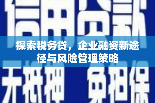 高陵探索税务贷，企业融资新途径与风险管理策略