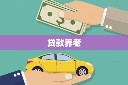 高陵贷款养老