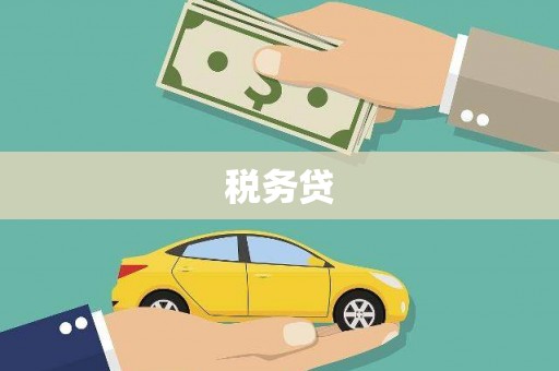 高陵税务贷