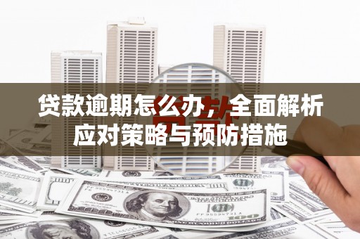 高陵贷款逾期怎么办，全面解析应对策略与预防措施