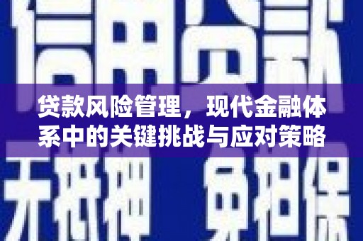 高陵贷款风险管理，现代金融体系中的关键挑战与应对策略