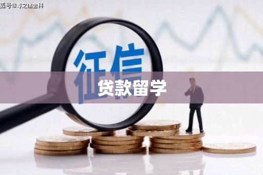 高陵贷款留学
