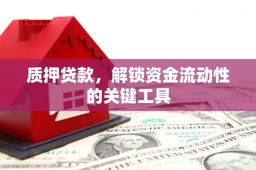 高陵质押贷款，解锁资金流动性的关键工具