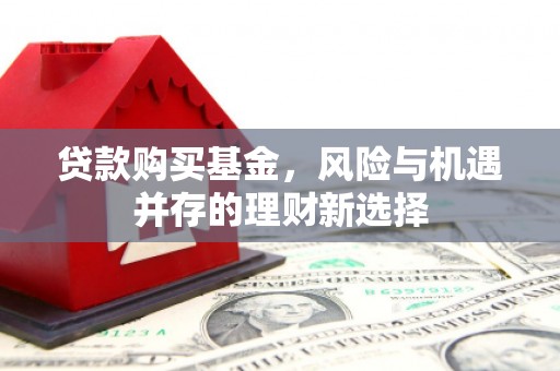 高陵贷款购买基金，风险与机遇并存的理财新选择