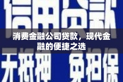 高陵消费金融公司贷款，现代金融的便捷之选