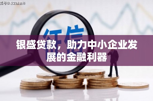 高陵银盛贷款，助力中小企业发展的金融利器