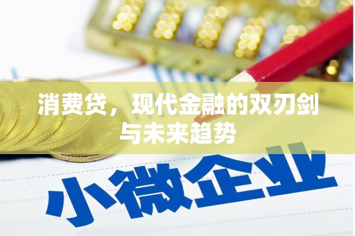 高陵消费贷，现代金融的双刃剑与未来趋势