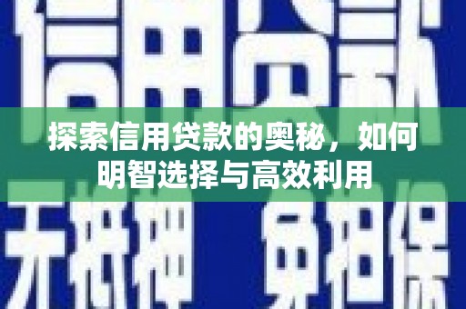 高陵探索信用贷款的奥秘，如何明智选择与高效利用