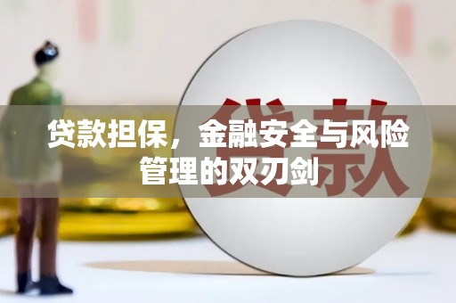 高陵贷款担保，金融安全与风险管理的双刃剑
