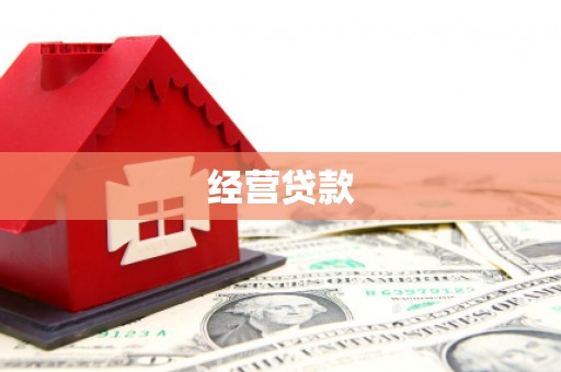 高陵经营贷款
