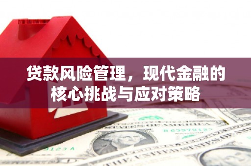高陵贷款风险管理，现代金融的核心挑战与应对策略