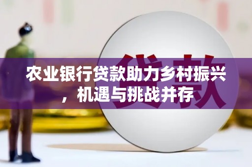 高陵农业银行贷款助力乡村振兴，机遇与挑战并存