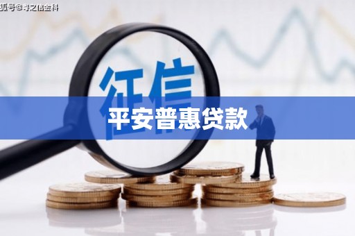 高陵平安普惠贷款