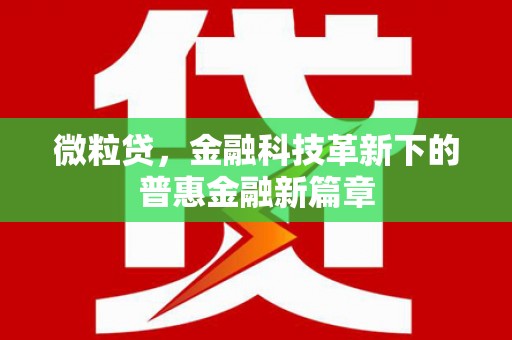 高陵微粒贷，金融科技革新下的普惠金融新篇章