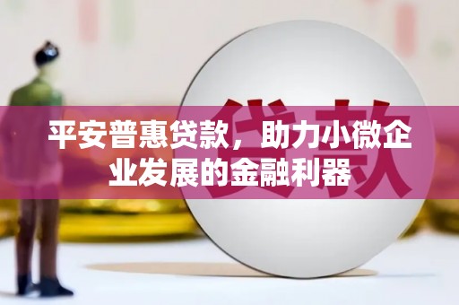 高陵平安普惠贷款，助力小微企业发展的金融利器