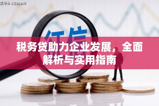 高陵税务贷助力企业发展，全面解析与实用指南