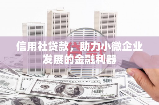 高陵信用社贷款，助力小微企业发展的金融利器
