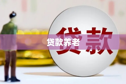 高陵贷款养老