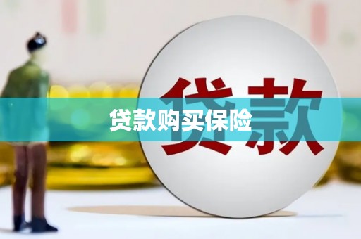 高陵贷款购买保险