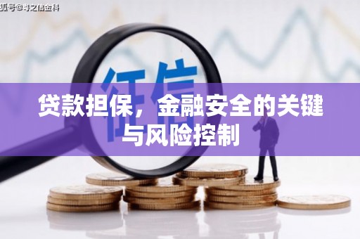 高陵贷款担保，金融安全的关键与风险控制