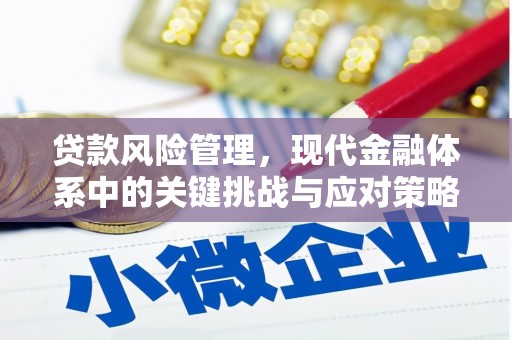 高陵贷款风险管理，现代金融体系中的关键挑战与应对策略