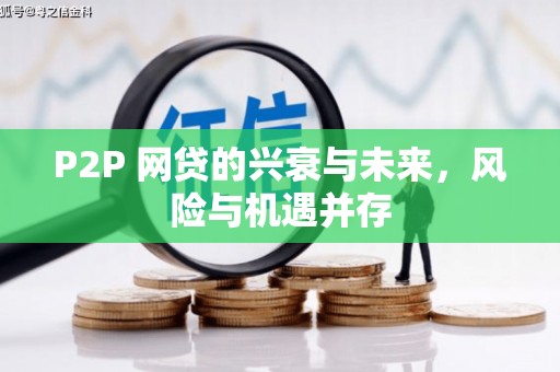 高陵P2P 网贷的兴衰与未来，风险与机遇并存