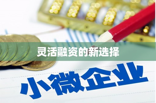 高陵灵活融资的新选择