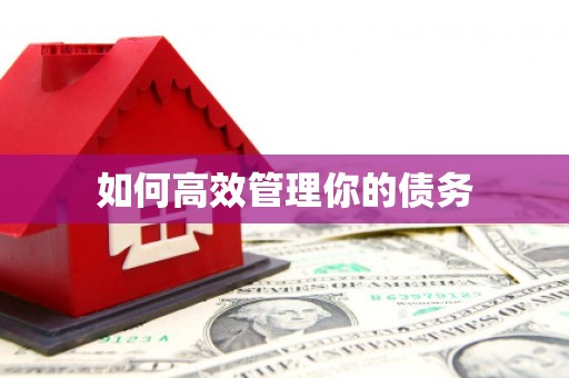 高陵如何高效管理你的债务