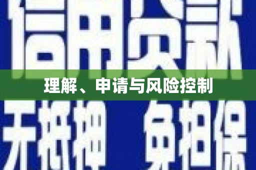 高陵理解、申请与风险控制